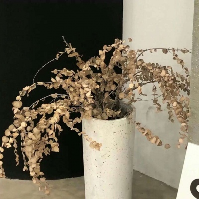 兽设设计灵感合集福瑞群